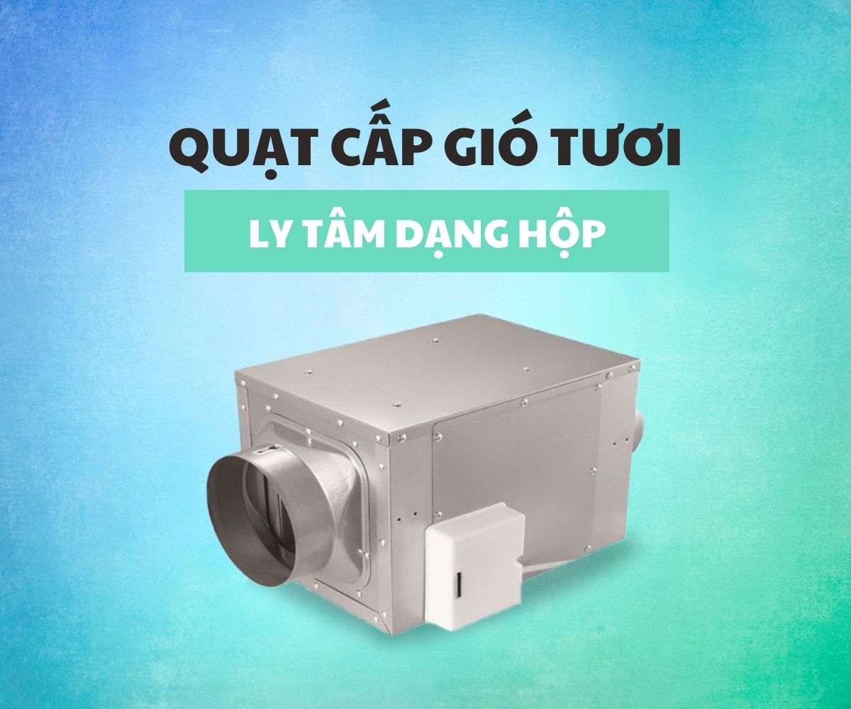 quat cap gio tuoi ly tam dang hop