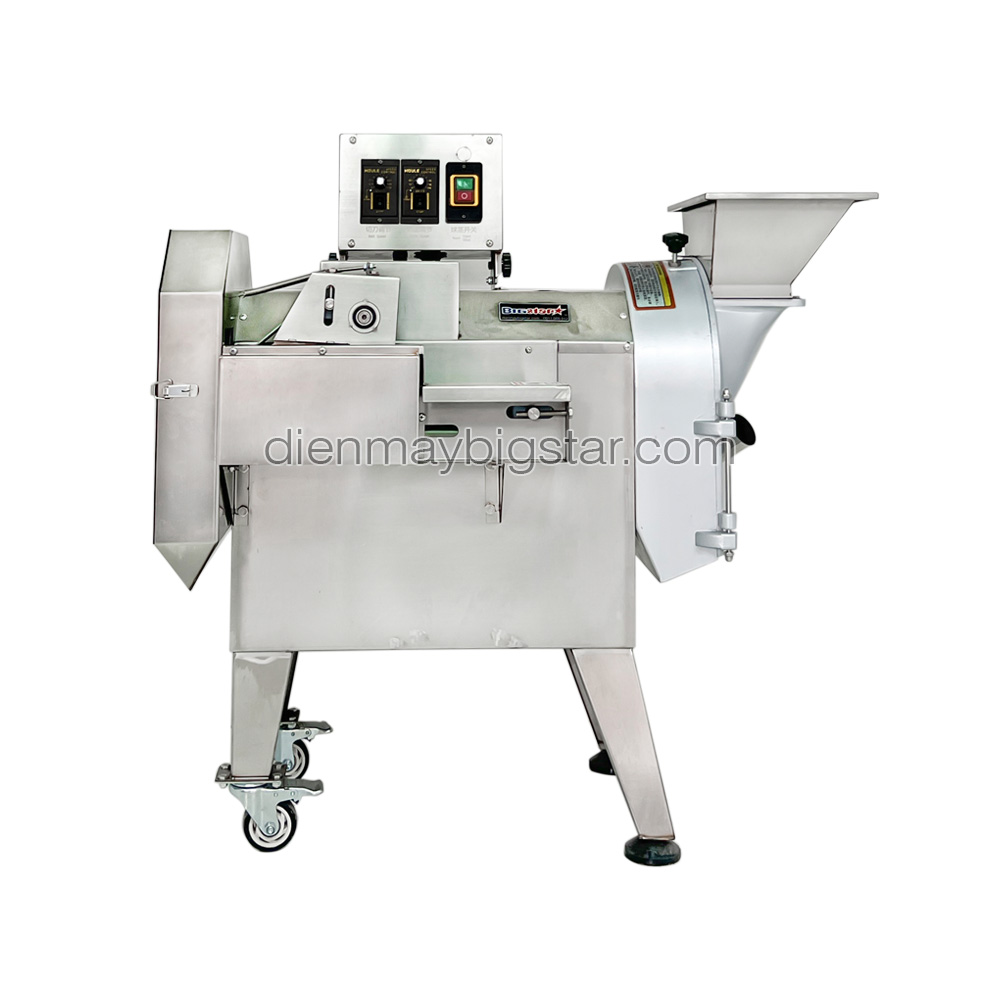 Máy thái rau củ quả băng tải YQC-803